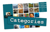 Gamify Marketing with Categories Game